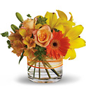 Sunny Siesta - Orange & Yellows  from Olney's Flowers of Rome in Rome, NY